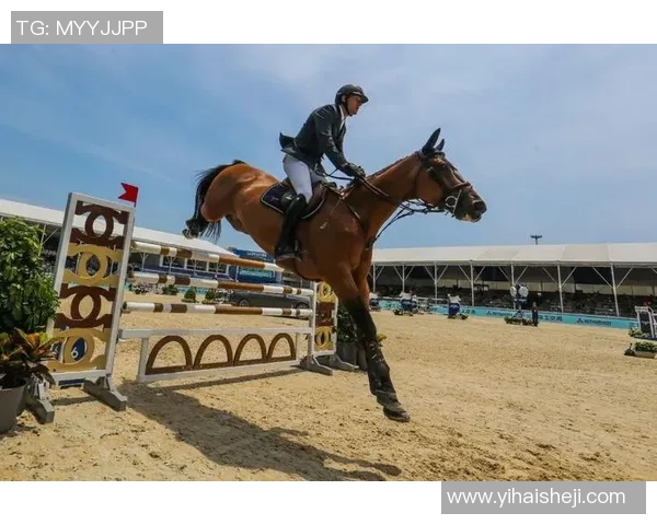 赛事赞助商影响力报告